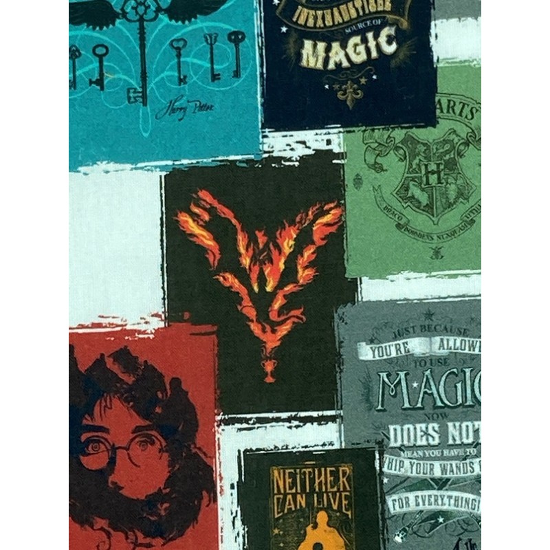 Tissu Harry Potter Poster sur fond Blanc - Au mètre